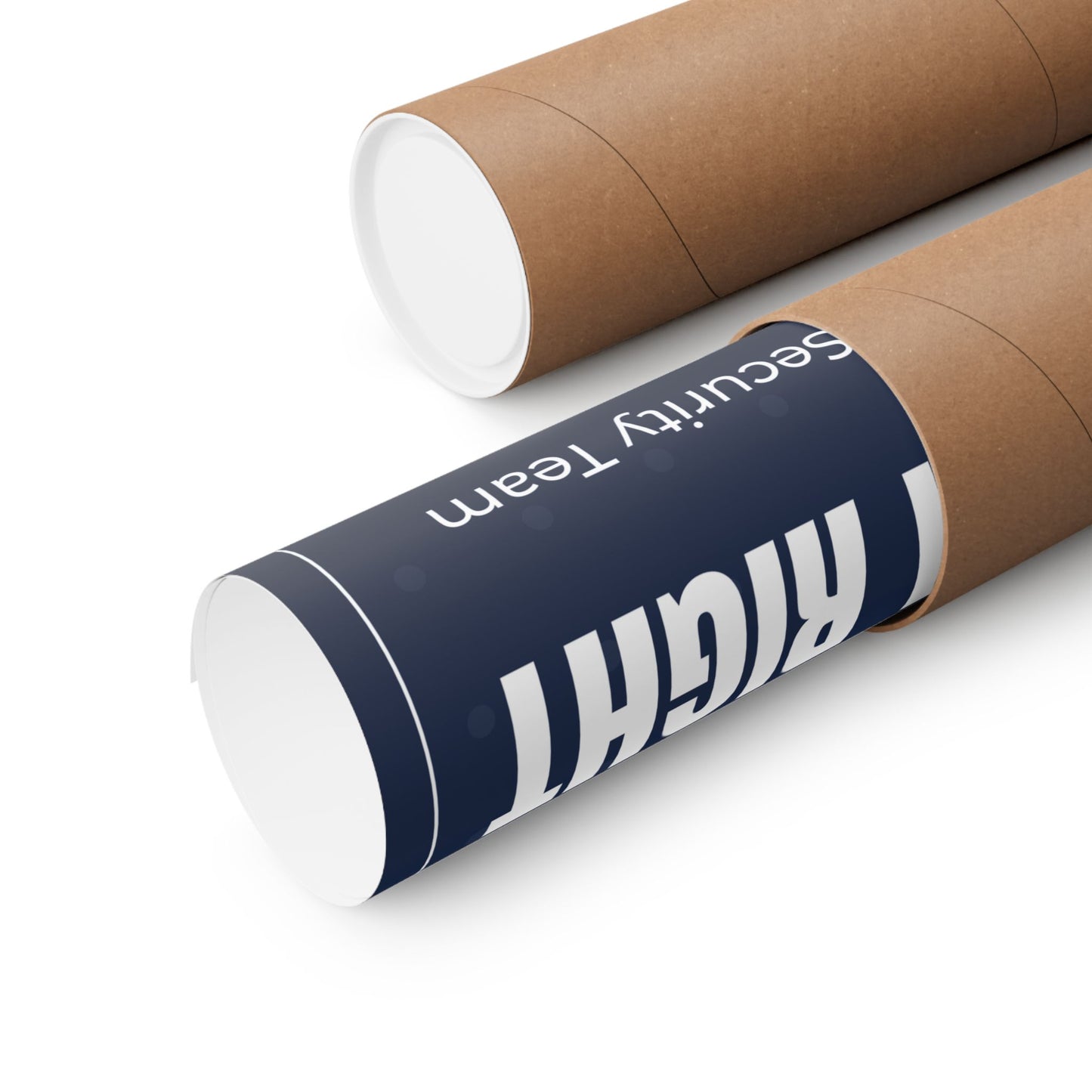 rolled wall decor poster for IT & Cybersecurity professionals