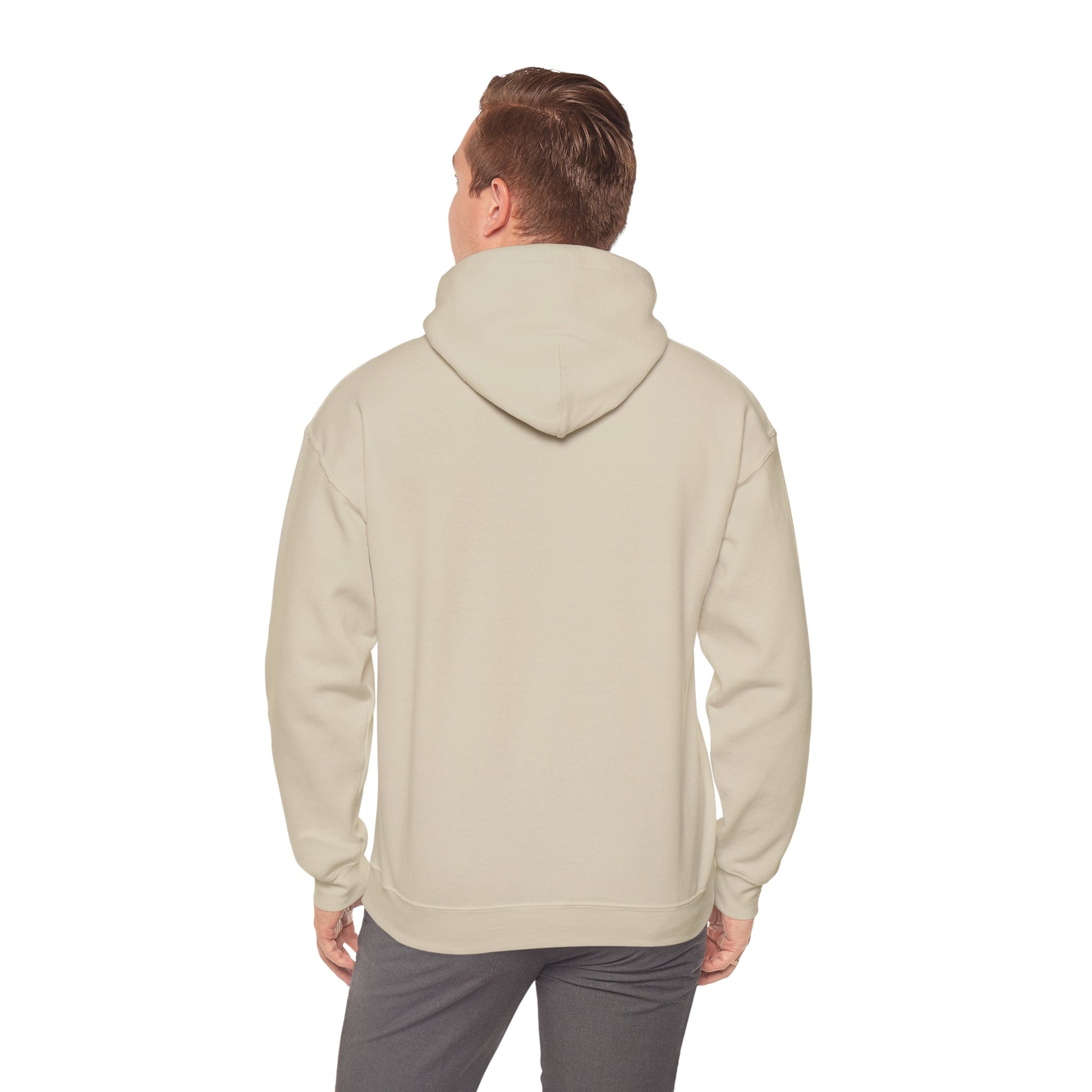 Sand cybersecurity hoodie, back view on model, cybersecurity fashion, penetration tester hoodie